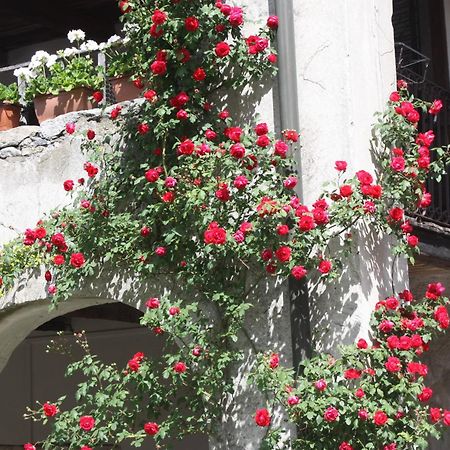 Affittacamere Casa Archi Losone Exteriör bild