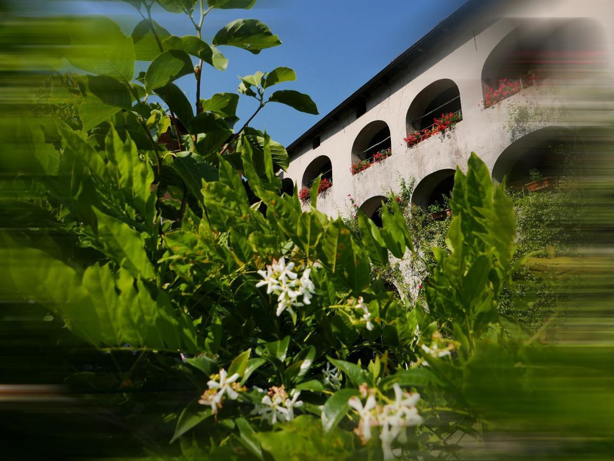 Affittacamere Casa Archi Losone Exteriör bild